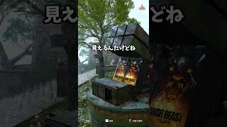 対空砲に隠れた結果... #shorts  #prophunt #かくれんぼ #cod