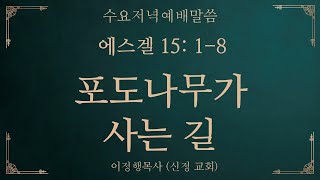 용인신정교회 수요저녁예배말씀 2024.12.04 [에스겔 15:1-8] 포도나무가 사는 길, 이정행목사