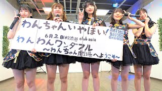 6月2日ワンマン【4K/α7ⅲ/GM】わんちゃんいやほい！（Japanese idol group Wan chan iya hoi!）at majide cafe（2部） 2021年4月24日（土）