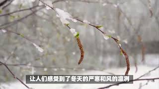 江苏淮安：寒潮降雪，古建筑银装素裹，冬日美景如诗如画！