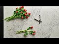 caesarstone highlights