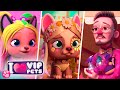 🌈 PERFECT EPISODES 👌 VIP PETS 🌈 HAIRSTYLES 💇🏼‍♀️ Full Episodes ✨ CARTOONS for KIDS in ENGLISH