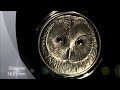 2011 ural owl wildlife swarovski 500 togrog mongolia majestic coins ltd