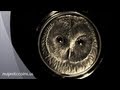 2011 Ural Owl Wildlife Swarovski 500 Togrog Mongolia Majestic Coins LTD