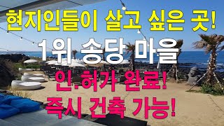 제주도 현지인들이 살고 싶은 곳 1위~ 송당리~