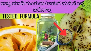 ಗುಂಗುರು|ನುರುಜು|ಅಡುಗೆ ಸೊಳ್ಳೆ ಒಂದೇ ಬಾರಿಗೆ ನಾಶ ಆಗುತ್ತೆ|100%work ಆಗುತ್ತೆ|how to get rid of fruit fly