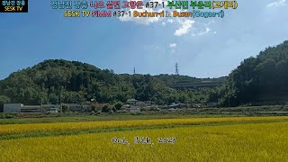 정남진 장흥-나으 살던 고향은 #37-1 부산면 부춘리(고개리)