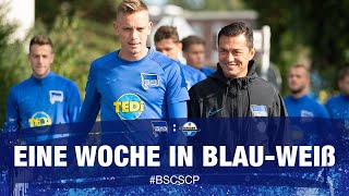 HAHOHE - Eine Woche in Blau-Weiß - 5. Spieltag - Hertha BSC