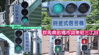 【信号機】群馬県前橋市城東町三丁目 ルーバーフード・筒型フードの京三VAC型LED自転車専用灯器