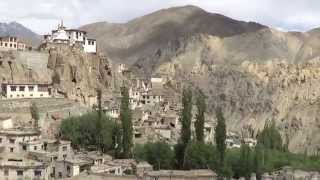 BIRDS OF INDIA - TOUR OF LADAKH