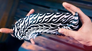 Learn Card Spring (5 ways) ● CARDISTRY TUTORIAL