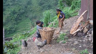 Myvillage official videos EP 1082 || Rural daily activities || Organic chicken