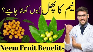 Neem Ki Nimboli (Phal) ke fayde | neem fruit/Seed Benefits