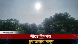 চুয়াডাঙ্গায় দু’দিন পর সূর্যের দেখা মিললেও নেই উত্তাপ | Cold weather | Chuadanga