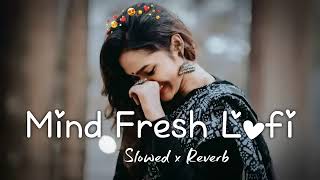 Mind Fresh Lo-fi Songs🥰 || [Slowed+Reverb ] Hindi Songs || Hindi new Mashup 2024 #bollywoodlofi