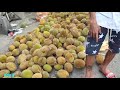 ayo berburu buah durian di kota singkawang singkawang lagi musim buah durian u0026 rambutan