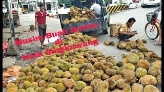 Ayo, Berburu Buah Durian di Kota Singkawang || Singkawang Lagi Musim Buah Durian \u0026 Rambutan