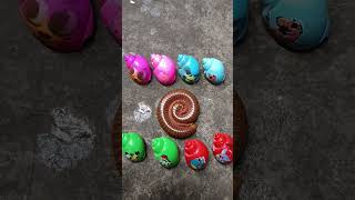 WOW, SO ADORABLE😱😱hermit crabs of various colors gathered with millipedes🐛#shorts