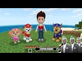 I found Real Paw Patrol in Minecraft - Coffin Meme