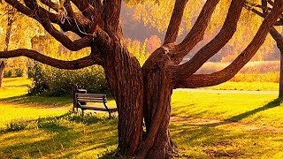 TRY TO REMEMBER - (Lyrics)