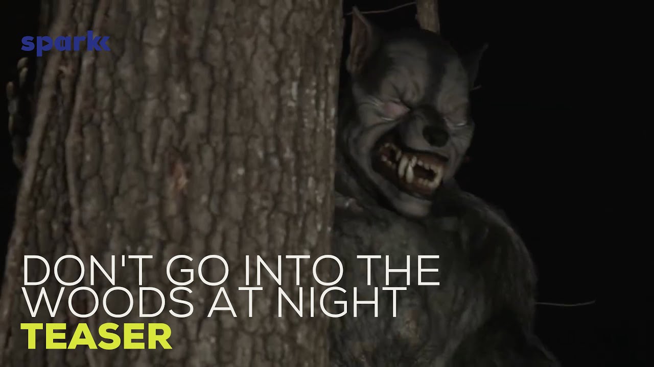 Don T Go Into The Woods At Night Sparkk Tv