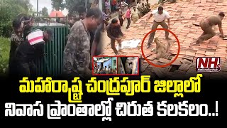 Cheetah In Residential Areas In Chandrapur District | Maharashtra | Forest Officers | NHTV