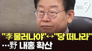 野 내홍 속으로…\