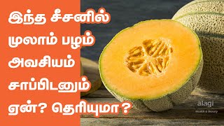 முலாம்பழம் சாப்பிடுவதால் நன்மைகள் | Top 10 Health Benefits of Muskmelon | mulam palam | Summer Fruit