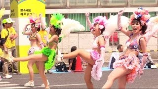 神戸まつり2014 神戸サンバチーム パレード　samba dancefestival japan