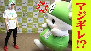 Snow Man【ふっかちゃん】マジギレ!? 深谷市ご当地キャラに会いに行こう完結編