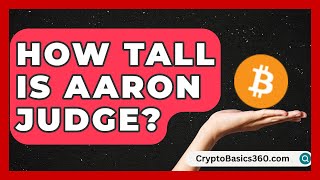 How Tall Is Aaron Judge? | Baseball Statistics Vault News