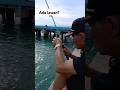 Ada lawan bapak ini❓❗🤣#videolucu #mancing #mancingmania #shorts #videomancing #short