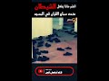 نضر ماذا يفعل الجن عنده سماع القران قصص جن أساطير الجن