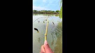 ⭕Experience immersive fishing#Incredible fishing way#fisherman#outdoor#This is a master