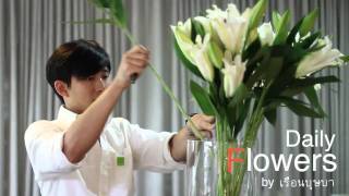 dailyflowers14-วิธีดูแลดอกลิลลี่