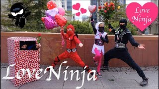 The Love Ninjas | Ninja Kidz TV
