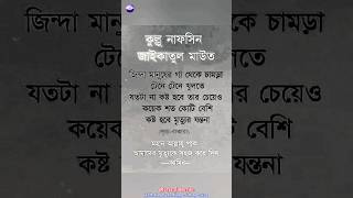 জা`লি'মরা মনে হয় ম`রবে না 😭😭😭 তাদের দেখে এমনটাই মনে হয় 😭😭😭 #viral #truth #sad #shorts #tranding #fyp