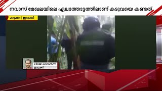 കട്ടപ്പന വാഴവരയില്‍ കുളത്തില്‍ കടുവയുടെ മൃതദേഹം കണ്ടെത്തി| Mathrubhumi News