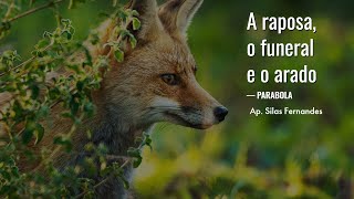 A raposa, o funeral e o arado - Aulão - 22/05/22