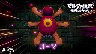 これが本当の”ゼルダ”の伝説【ゼルダの伝説 知恵のかりもの】#25