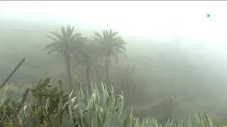 Viento y lluvia en las islas occidentales y Gran Canaria este domingo y lunes