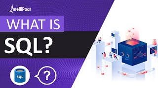 SQL Basics | Learn SQL | SQL Training for Beginners | Intellipaat