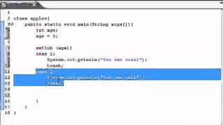 Java Programming Tutorial 12 Switch Statement | Java Tutorial