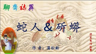 【聊齋誌異】蛇人&斫蟒（白話文版）|鬼怪故事|民間傳說|寓言故事