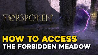 Forspoken How To Access The Forbidden Meadow