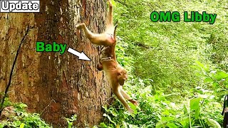 MG Naughty monkey Libby try jumping down with very danger way,Don't care baby Rainbow remove falling