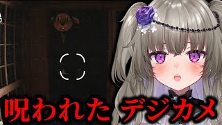 【呪われたデジカメ】怖すぎると話題のホラーゲームに挑戦します！【冥鳴ひまり/Vtuber】