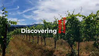 Discovering Wine Country