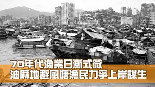 油麻地避風塘 70年代漁民為何要爭取上岸？