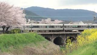 2016桜 JR長岡京〜山崎間 4/3 スロー